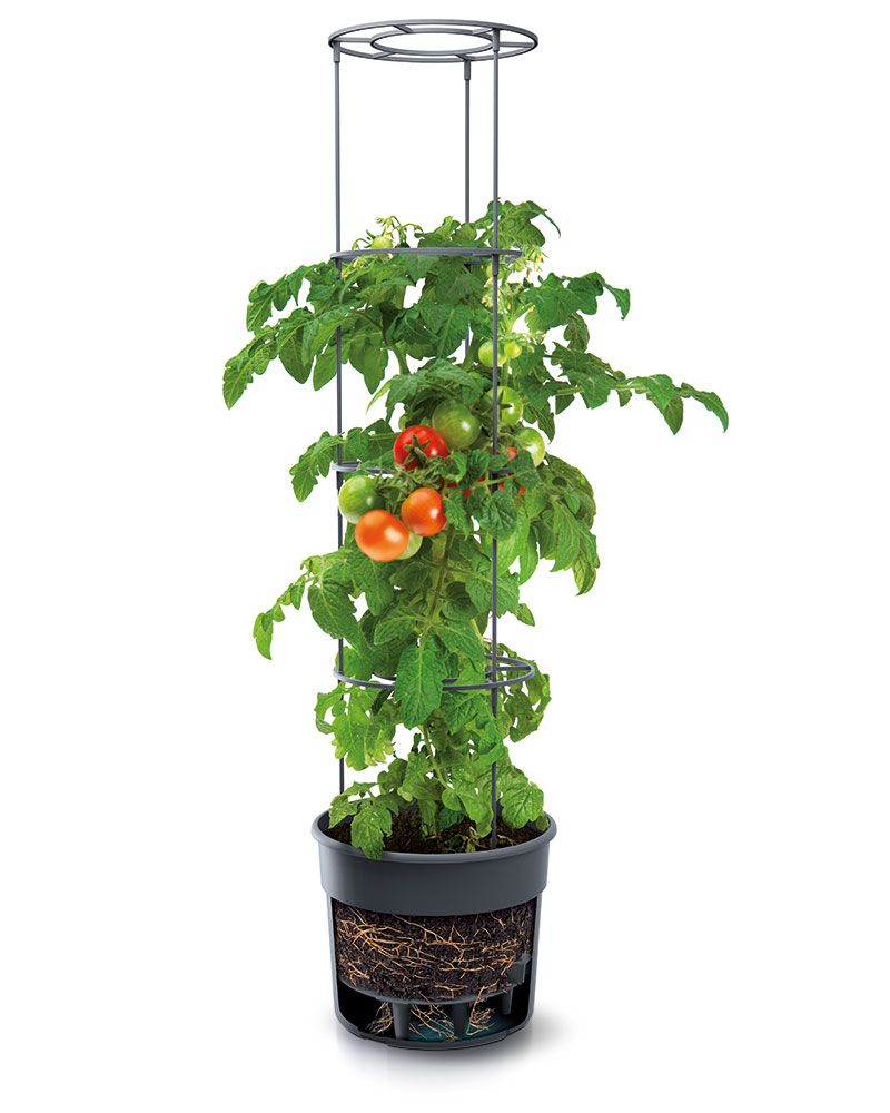 TomatoPot-tomaattikasvatusruukku