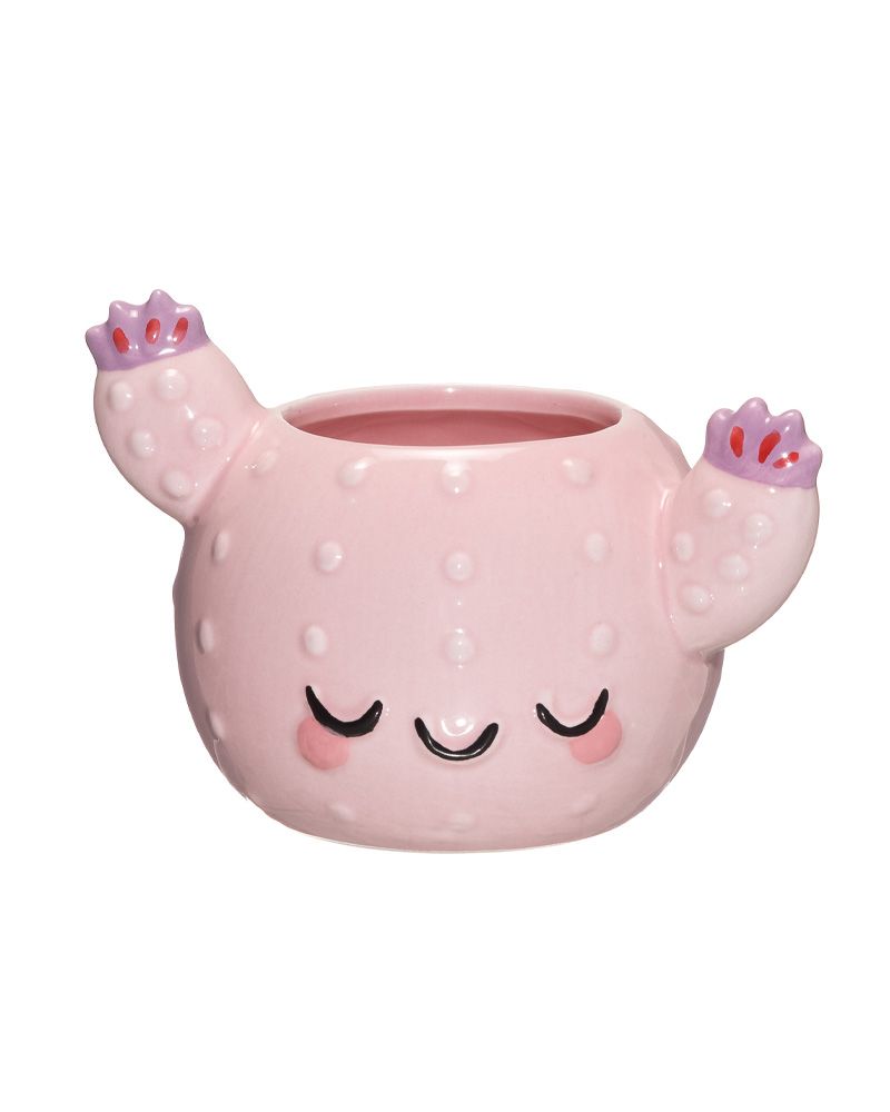 Ruukku Cactus pinkki