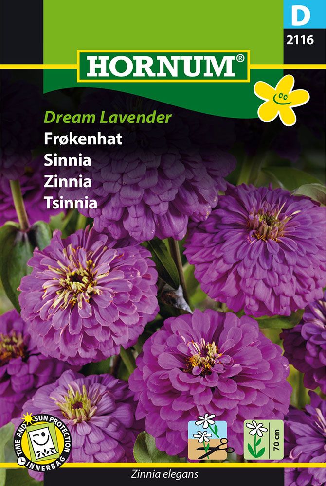 Isotsinnia Dream Lavender